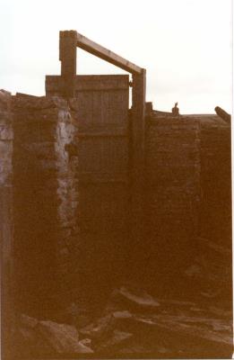  img005 